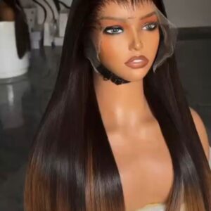 20-inch single donor Vietnamese bone straight human hair wig with a dark espresso root melting into warm chestnut ombre tips, built on a 13x6 Swiss frontal.